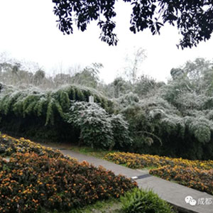 坐上地铁，来成植看雪