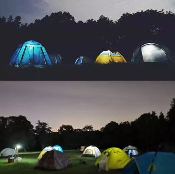 探访成植科学之夜的美丽