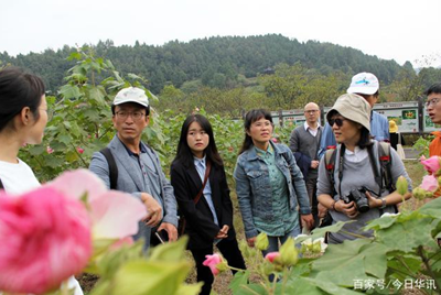 “芙蓉国际研讨会”专家学者实地考察